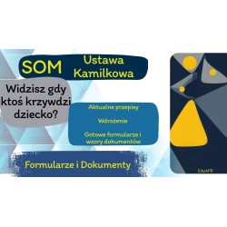 Standardy Ochrony Małoletnich – szkolenie | Ustawa Kamilkowa